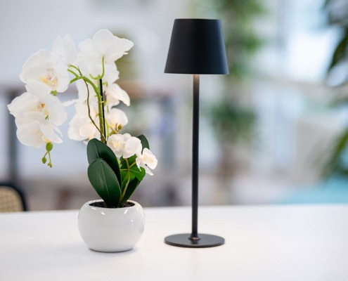 260701_IHPSüd_10_Showroom_009